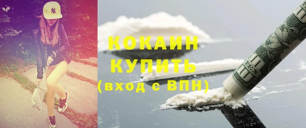 прущие грибы Дмитров