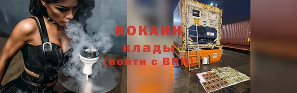 прущие грибы Дмитров