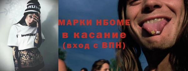 прущие грибы Дмитров