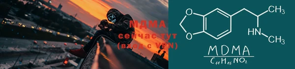 прущие грибы Дмитров
