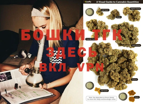 прущие грибы Дмитров