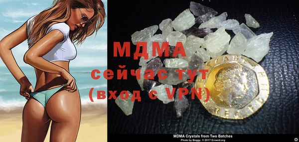 прущие грибы Дмитров