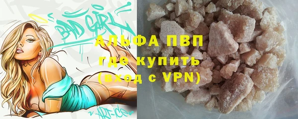 прущие грибы Дмитров