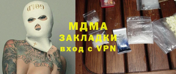 прущие грибы Дмитров