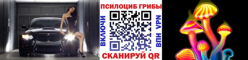 Купить где  Пучеж  Галлюциногенные грибы Cubensis 